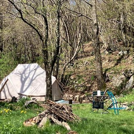 Grande Tente Tipi En Pleine Foret Burzet Exterior foto